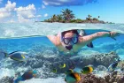 Snorkeling trip at Port Ghalib from Marsa Alam showing vibrant coral reefs and colorful fish.